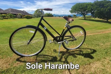 Two Hour single-speed bike Koloa, Kauai2-Hour Single-Speed Bike Rental 路 from $24Casual Bike Rental