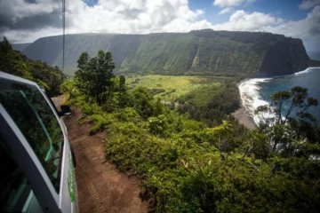Ultimate Circle Island Explorer (Kona Pick Up) Kona, Big IslandUltimate Circle Island Explorer 路 from $209Volcanoes, Black Sand Beach & Kona Coffee