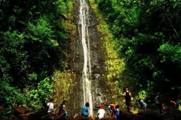 WaterFall Hike & East Side Beach Park Honolulu, OahuWaterfall Hike & East Side · from $150Rainforest Hike & Kailua Beach Park