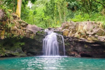 Waterfall & Rainforest Hiking Adventure • Meet in Central Maui Kahului, MauiCentral Maui Rainforest Hike · from $1793-5 Waterfalls, Rainforest Pools & Rock Ledges