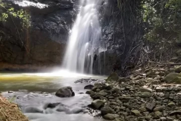 Waterfall Trail Expedition Lihue, KauaiWaterfall Trail Expedition 路 from $187UTV Off-Road Adventure & Waterfall Swim