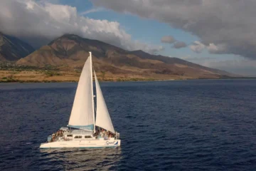 Whalewatch Sail Deluxe • Maalaea Ma'alaea, MauiWhalewatch Sail Deluxe · from $149.95Humpback Whales & Lunch Onboard
