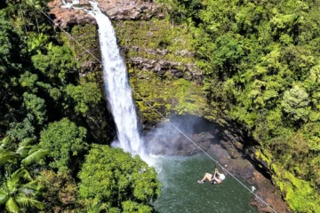 Honomu, Big IslandZipline Adventure · from $2457 Ziplines, Kolekole Waterfall & Ravine Views