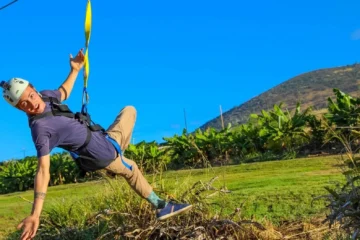 Zipline Adventure Tour Lahaina, MauiZipline Adventure Tour · from $119.95450-Foot Dragon Zipline & Fruit Tasting