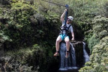 Honomu, Big IslandZipline Adventure · from $2957 Ziplines, Kolekole Falls & Hilo Cruise Pickup