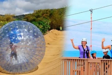 Lahaina, MauiZipline & Aquaball Combo · from $189.954 Ziplines, 2 Aquaball Rides & Fruit Tasting